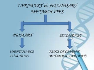 7.PRIMARY & SECONDARY
        METABOLITES



 PRIMARY           SECONDARY


IDENTIFIABLE   PRDTS OF CERTAIN
FUNCTIONS      METABOLIC PATHWAYS
 