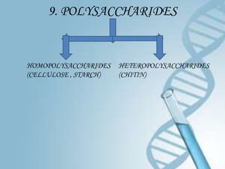 9. POLYSACCHARIDES


HOMOPOLYSACCHARIDES    HETEROPOLYSACCHARIDES
(CELLULOSE , STARCH)   (CHITIN)
 