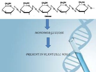 MONOMER GLUCOSE




PRESENT IN PLANT CELL WALL
 