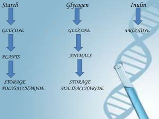Starch            Glycogen         Inulin


GLUCOSE            GLUCOSE        FRUCTOSE




PLANTS             ANIMALS




 STORAGE            STORAGE
POLYSACCHARIDE   POLYSACCHARIDE
 
