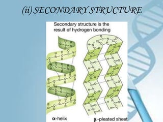 (ii) SECONDARY STRUCTURE
 