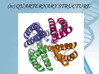 (iv) QUARTERNARY STRUCTURE
 