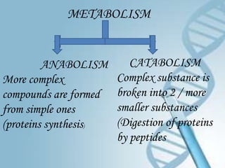 METABOLISM


         ANABOLISM        CATABOLISM
More complex           Complex substance is
compounds are formed   broken into 2 / more
from simple ones       smaller substances
(proteins synthesis)   (Digestion of proteins
                       by peptides
 