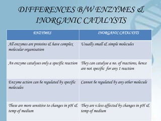 DIFFERENCES B/W ENZYMES &
        INORGANIC CATALYSTS
               ENZYMES                                  INORGANIC CATALYSTS

All enzymes are proteins & have complex       Usually small & simple molecules
molecular organisation


An enzyme catalyses only a specific reaction They can catalyse a no. of reactions, hence
                                             are not specific for any 1 reaction


Enzyme action can be regulated by specific    Cannot be regulated by any other molecule
molecules



These are more sensitive to changes in pH & They are v.less affected by changes in pH &
temp of medium                              temp of medium
 
