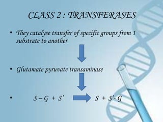 CLASS 2 : TRANSFERASES
• They catalyse transfer of specific groups from 1
  substrate to another


• Glutamate pyruvate transaminase


•        S – G + S’              S + S’- G
 
