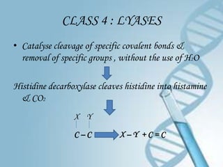 CLASS 4 : LYASES
• Catalyse cleavage of specific covalent bonds &
  removal of specific groups , without the use of H2O

Histidine decarboxylase cleaves histidine into histamine
  & CO2
                 X Y

                 C–C          X–Y +C=C
 