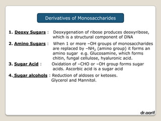 Derivatives of Monosaccharides


1. Deoxy Sugars :    Deoxygenation of ribose produces deoxyribose,
                     which is a structural component of DNA
2. Amino Sugars :   When 1 or more –OH groups of monosaccharides
                    are replaced by –NH2 (amino group) it forms an
                    amino sugar e.g. Glucosamine, which forms
                    chitin, fungal cellulose, hyaluronic acid.
3. Sugar Acid :     Oxidation of –CHO or –OH group forms sugar
                    acids. Ascorbic acid is a sugar acid
4. Sugar alcohols : Reduction of aldoses or ketoses.
                   Glycerol and Mannitol.




                                                             dr.aarif
 