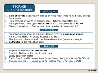 STORAGE
POLYSACCHARIDES
                                     STARCH
1. Carbohydrate reserve of plants and the most important dietary source
   for animals
2. High content of starch in cereals, roots, tubers, vegetables etc.
3. Homopolymer made up of GLUCOSE units. Also called as GLUCAN.
4. Starch = Amylose + Amylopectin (polysaccharide components)
                                   GLYCOGEN
1.   Carbohydrate reserve in animals. Hence referred as animal starch
2.   High concentration in Liver, muscles and brain.
3.   Also found in plants that do not have chlorophyll (yeast and fungi)
4.   GLUCOSE is the repeating unit.

                                     INULIN
1.   Polymer of fructose i.e. fructosan
2.   Found in Dahlia, bulbs, garlic, onion etc
3.   Easily soluble in water
4.   Inulin is not readily metabolised in the human body and is readily filtered
     through the kidney. Hence used for testing kidney function (GFR)



                                                                              dr.aarif
 
