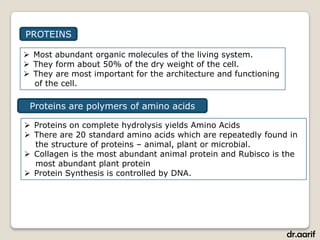 PROTEINS

 Most abundant organic molecules of the living system.
 They form about 50% of the dry weight of the cell.
 They are most important for the architecture and functioning
  of the cell.

 Proteins are polymers of amino acids

 Proteins on complete hydrolysis yields Amino Acids
 There are 20 standard amino acids which are repeatedly found in
  the structure of proteins – animal, plant or microbial.
 Collagen is the most abundant animal protein and Rubisco is the
  most abundant plant protein
 Protein Synthesis is controlled by DNA.




                                                                 dr.aarif
 