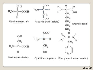 Alanine (neutral)    Aspartic acid (acidic)
                                                     Lysine (basic)




Serine (alcoholic)   Cysteine (suphur)    Phenylalanine (aromatic)



                                                              dr.aarif
 