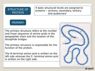 4 basic structural levels are assigned to
  STRUCTURE OF           proteins – primary, secondary, tertiary
     PROTEIN                        and quaternary


     PRIMARY


The primary structure refers to the number
and linear sequence of amino acids in the
polypeptide chain and the location of the
disulphide bridges

The primary structure is responsible for the
function of the protein.

The N-terminal amino acid is written on the
left side whereas the C- terminal amino acid
is written on the right side


                                                                     dr.aarif
 