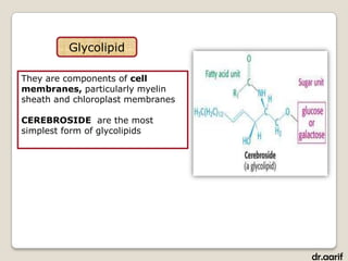 Glycolipid

They are components of cell
membranes, particularly myelin
sheath and chloroplast membranes

CEREBROSIDE are the most
simplest form of glycolipids




                                   dr.aarif
 