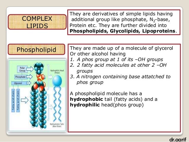 Biomolecules