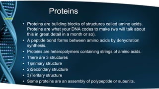 Lokesh 
Proteins 
• Proteins are building blocks of structures called amino acids. 
Proteins are what your DNA codes to make (we will talk about 
this in great detail in a month or so). 
• A peptide bond forms between amino acids by dehydration 
synthesis. 
• Proteins are heteropolymers containing strings of amino acids. 
• There are 3 structures 
• 1)primary structure 
• 2)Secondary structure 
• 3)Teritary structure 
• Some proteins are an assembly of polypeptide or subunits. 
 