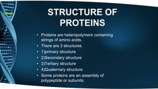 Lokesh 
• Proteins are heteropolymers containing 
strings of amino acids. 
• There are 3 structures 
• 1)primary structure 
• 2)Secondary structure 
• 3)Tertiary structure 
• 4)Quaternary structure 
• Some proteins are an assembly of 
polypeptide or subunits. 
 