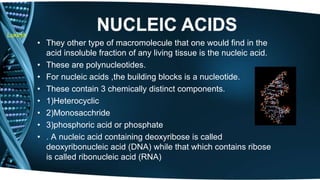Lokesh 
• They other type of macromolecule that one would find in the 
acid insoluble fraction of any living tissue is the nucleic acid. 
• These are polynucleotides. 
• For nucleic acids ,the building blocks is a nucleotide. 
• These contain 3 chemically distinct components. 
• 1)Heterocyclic 
• 2)Monosacchride 
• 3)phosphoric acid or phosphate 
• . A nucleic acid containing deoxyribose is called 
deoxyribonucleic acid (DNA) while that which contains ribose 
is called ribonucleic acid (RNA) 
 