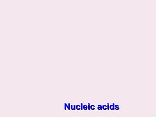 Nucleic acids
Nucleic acids
 