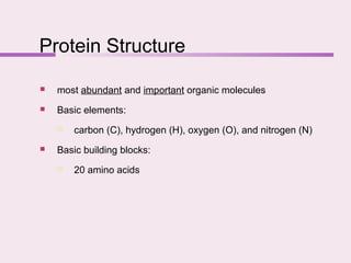 Protein Structure
 most abundant and important organic molecules
 Basic elements:
 carbon (C), hydrogen (H), oxygen (O), and nitrogen (N)
 Basic building blocks:
 20 amino acids
 