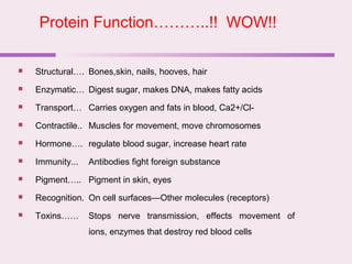 Protein Function………..!! WOW!!
 Structural…. Bones,skin, nails, hooves, hair
 Enzymatic… Digest sugar, makes DNA, makes fatty acids
 Transport… Carries oxygen and fats in blood, Ca2+/Cl-
 Contractile.. Muscles for movement, move chromosomes
 Hormone…. regulate blood sugar, increase heart rate
 Immunity... Antibodies fight foreign substance
 Pigment….. Pigment in skin, eyes
 Recognition. On cell surfaces—Other molecules (receptors)
 Toxins…… Stops nerve transmission, effects movement of
ions, enzymes that destroy red blood cells
 
