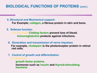 BIOLOGICAL FUNCTIONS OF PROTEINS (cont.)
4. Structural and Mechanical support:
For Example; collagen, a fibrous protein in skin and bone.
5. Defense function:
For Example Clotting factors prevent loss of blood.
Immunoglobulins protects against infections.
6. Generation and transmission of nerve impulses:
For example, rhodopsin is the photoreceptor protein in retinal
rod cells.
7. Control of growth and differentiation:
For Example
 growth factor proteins.
 hormones such as insulin and thyroid-stimulating
hormone.
 