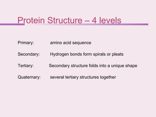 Protein Structure – 4 levels
Primary: amino acid sequence
Secondary: Hydrogen bonds form spirals or pleats
Tertiary: Secondary structure folds into a unique shape
Quaternary: several tertiary structures together
 