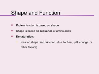 Shape and Function
 Protein function is based on shape
 Shape is based on sequence of amino acids
 Denaturation:
 loss of shape and function (due to heat, pH change or
other factors)
 