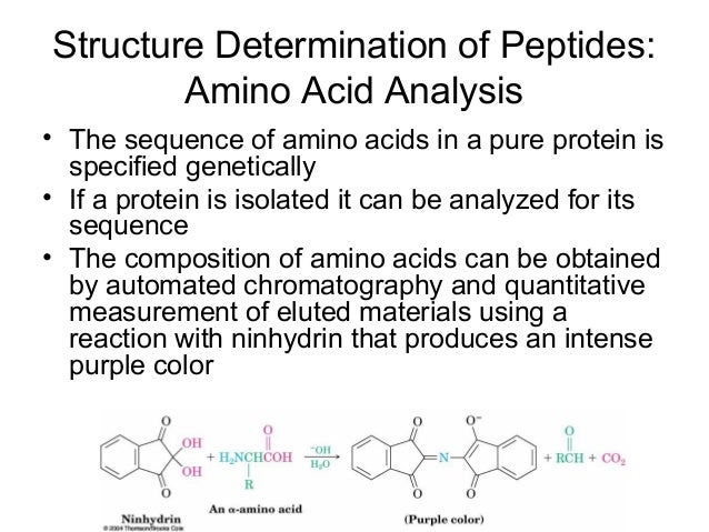Determination of amino acid composition