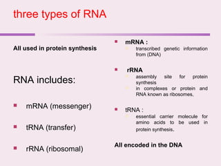 three types of RNA
All used in protein synthesis
All encoded in the DNA
RNA includes:
 mRNA (messenger)
 tRNA (transfer)
 rRNA (ribosomal)
 mRNA :
 transcribed genetic information
from (DNA)
 rRNA
 assembly site for protein
synthesis
 in complexes or protein and
RNA known as ribosomes,
 tRNA :
 essential carrier molecule for
amino acids to be used in
protein synthesis.
 