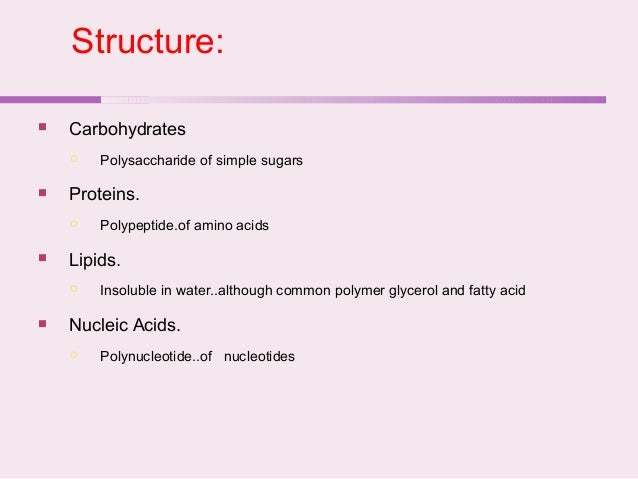 Amino Acids Are The Building Blocks Monomers Of Proteins Amino Acids Are The Building Blocks Monomers Of Proteins