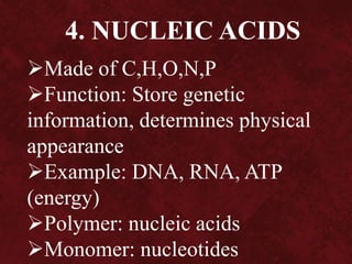 4. NUCLEIC ACIDS
Made of C,H,O,N,P
Function: Store genetic
information, determines physical
appearance
Example: DNA, RNA, ATP
(energy)
Polymer: nucleic acids
Monomer: nucleotides
 