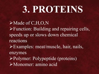 3. PROTEINS
Made of C,H,O,N
Function: Building and repairing cells,
speeds up or slows down chemical
reactions
Examples: meat/muscle, hair, nails,
enzymes
Polymer: Polypeptide (proteins)
Monomer: amino acid
 