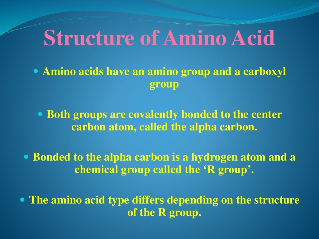 Protein as a Biomolecule
