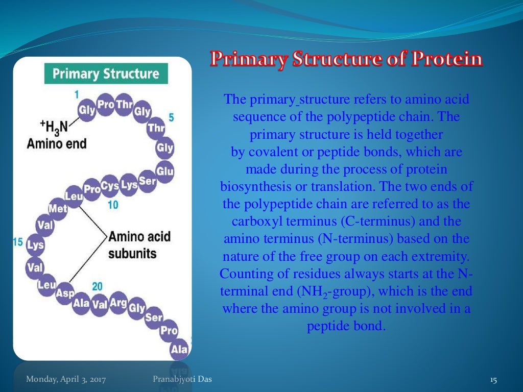 Protein as a Biomolecule