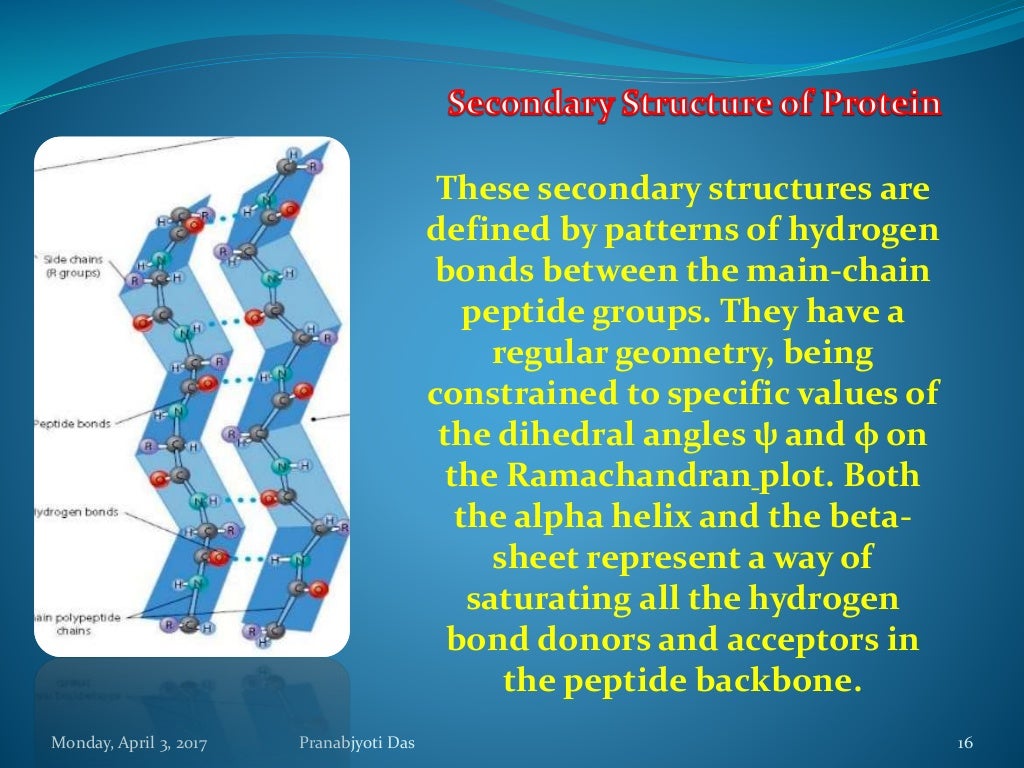 Protein as a Biomolecule