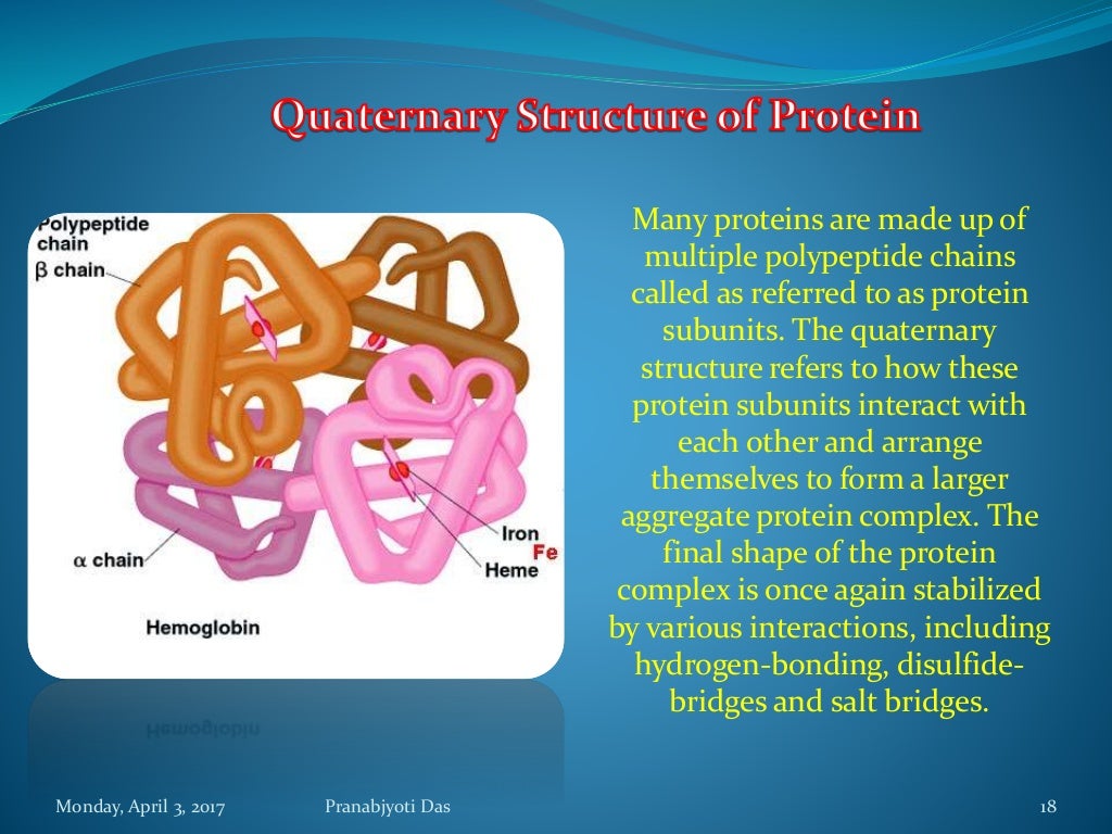 Protein as a Biomolecule