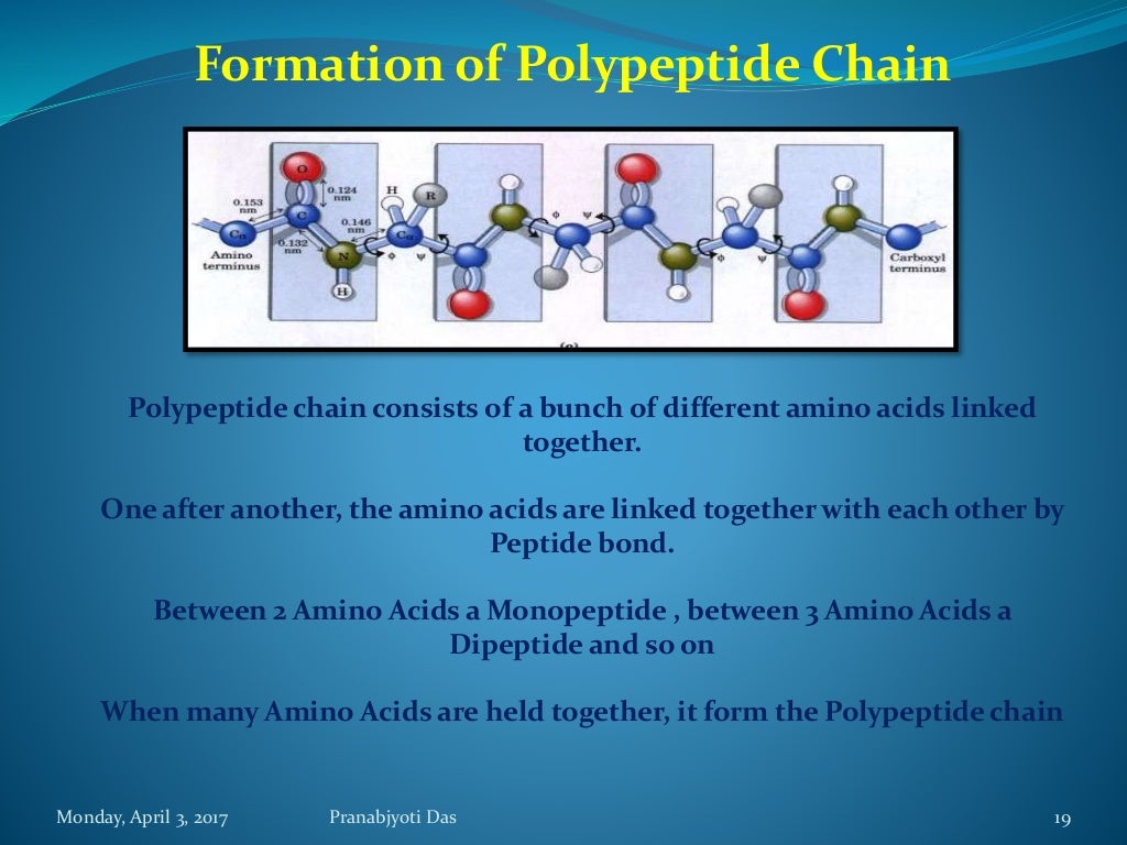 Protein as a Biomolecule