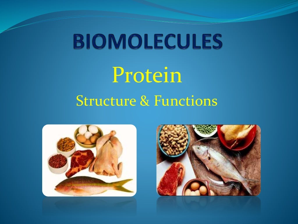 Protein as a Biomolecule