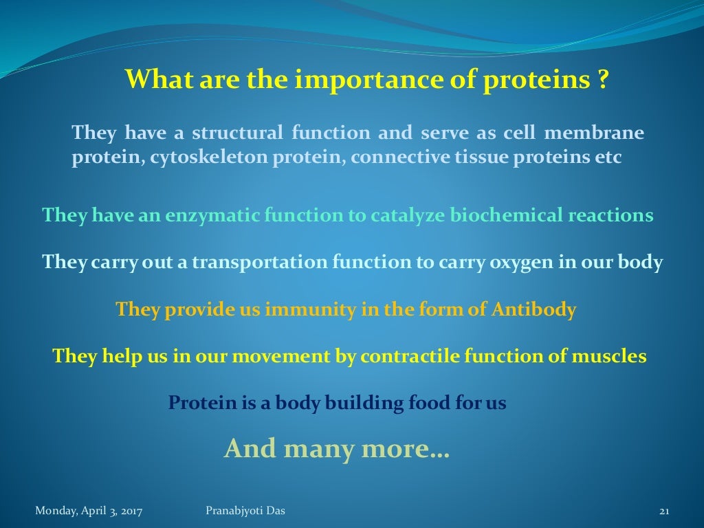 Protein as a Biomolecule