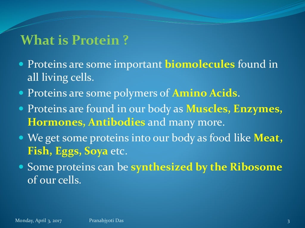 Protein as a Biomolecule
