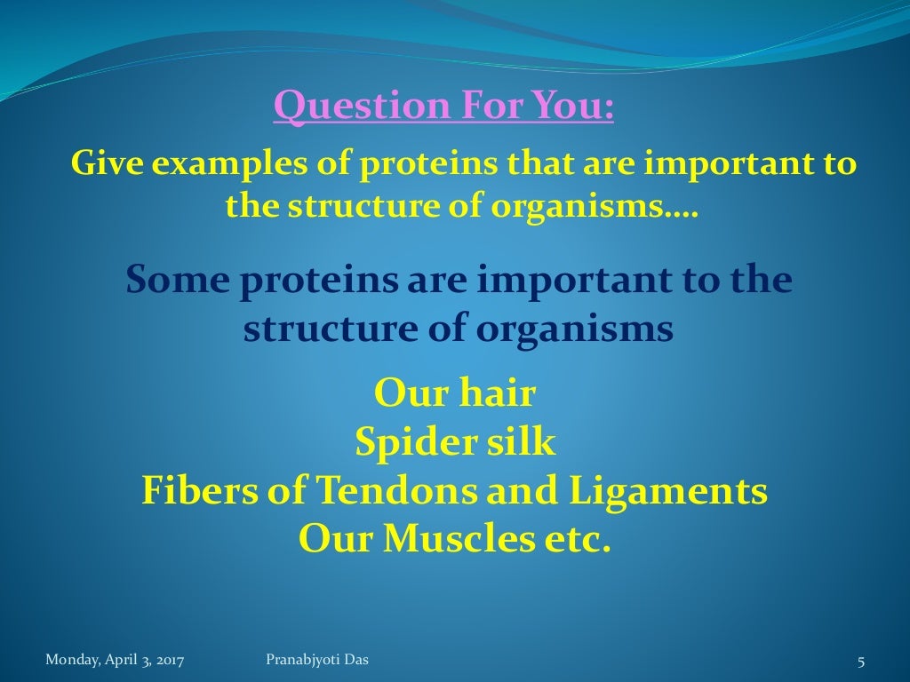 Protein as a Biomolecule