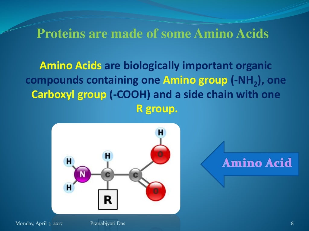 Protein as a Biomolecule