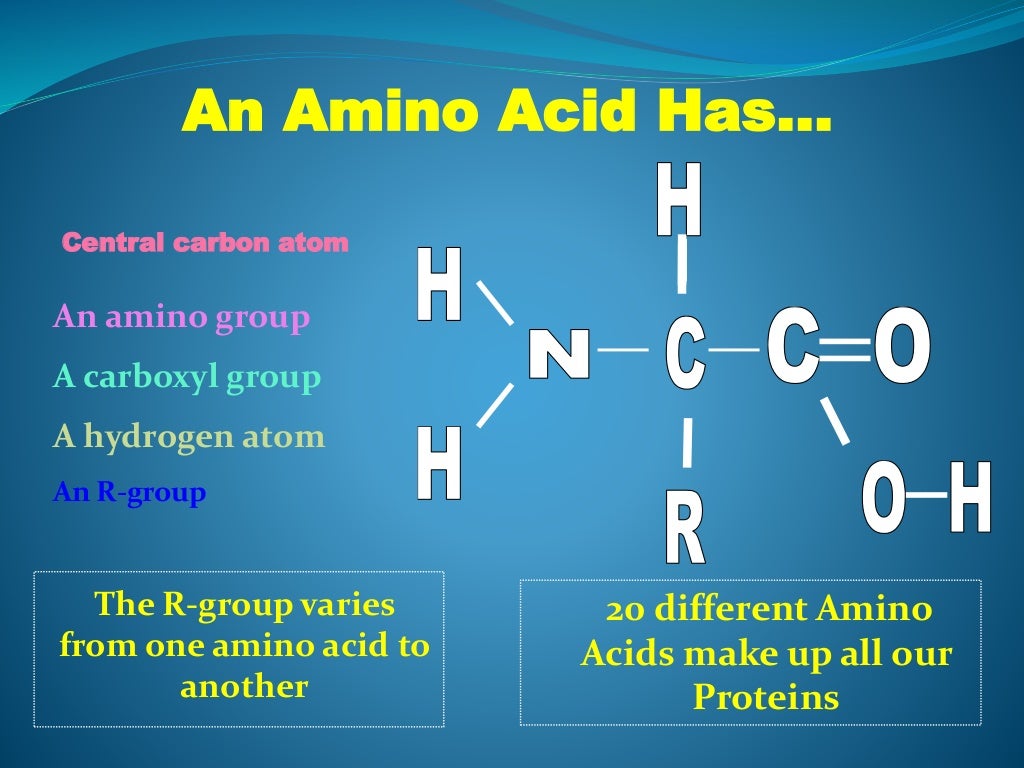 Protein as a Biomolecule