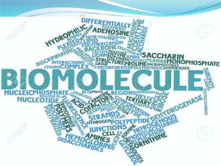 what type of biomolecule is insulin