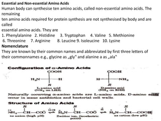 Essential and Non-essential Amino Acids
Human body can synthesise ten amino acids, called non-essential amino acids. The
remaining
ten amino acids required for protein synthesis are not synthesised by body and are
called
essential amino acids. They are
1. Phenylalanine 2. Histidine 3. Tryptophan 4. Valine 5. Methionine
6. Threonine 7. Arginine 8. Leucine 9. Isoleucine 10. Lysine
Nomenclature
They are known by their common names and abbreviated by first three letters of
their commonnames e.g., glycine as „gly‟ and alanine a as „ala‟
.
 