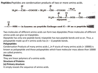 Peptides:Peptides are condensation products of two or more amino acids.
Two molecules of different amino acids can form two dipeptides.Three molecules of different
amino acids can give six tripeptides.
Dipeptide has only one peptide bond, tripeptide has two peptide bonds and so on. Thus, a
polypeptide made up of n-amino acids has (n – 1) peptide bonds.
Polypeptides
Condensation Products of many amino acids ( „In P xiucts of many amino acids (≈ 10000) is
known as polypeptide and those polypeptides which have molecular mass above than 10000
are called proteins.
Proteins
They are linear polymers of a-amino acids.
Structure of Proteins
(a) Primary structure
It simply reveals the sequence of amino acids.
 