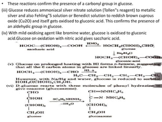 • These reactions confirm the presence of a carbonyl group in glucose.
(iii) Glucose reduces ammoniacal silver nitrate solution (Tollen‟s reagent) to metallic
silver and also Fehling‟S solution or Benedict solution to reddish brown cuprous
oxide (Cu2O) and itself gets oxidised to gluconic acid. This confirms the presence of
an aldehydic group in glucose.
(iv) With mild oxidising agent like bromine water, glucose is oxidised to gluconic
acid.Glucose on oxidation with nitric acid gives saccharic acid.
 