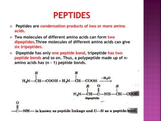  Peptides are condensation products of two or more amino
acids.
 Two molecules of different amino acids can form two
dipeptides.Three molecules of different amino acids can give
six tripeptides.
 Dipeptide has only one peptide bond, tripeptide has two
peptide bonds and so on. Thus, a polypeptide made up of n-
amino acids has (n – 1) peptide bonds.
 