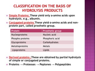  Simple Proteins: These yield only a-amino acids upon
hydrolysis. e.g., albumin.
 Conjugated proteins These yield α-amino acids and non-
protein part, called prosthetic group.
 Derived proteins :These are obtained by partial hydrolysis
of simple or conjugated proteins.
 Proteins → Proteoses → Peptones → Polypeptides
Protein Prosthetic group
Nucleoproteins Nucleic acid
Phospho proteins Phosphoric acid
Glycoproteins Carbohydrates
Metalioproteins Metals
Lipoproteins Lipids
 
