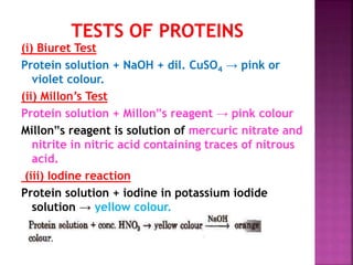(i) Biuret Test
Protein solution + NaOH + dil. CuSO4 → pink or
violet colour.
(ii) Millon’s Test
Protein solution + Millon‟s reagent → pink colour
Millon‟s reagent is solution of mercuric nitrate and
nitrite in nitric acid containing traces of nitrous
acid.
(iii) Iodine reaction
Protein solution + iodine in potassium iodide
solution → yellow colour.
(iv)Xanthoprotic test
 
