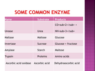 Name Substrate Products
Urease Urea
CO<sub>2</sub> +
NH<sub>3</sub>
Maltase Maltose Glucose
Invertase Sucrose Glucose + fructose
Amylase Starch Maltose
Trypsin Proteins Amino acids
Ascorbic acid oxidase Ascorbic acid Dehydroascorbic acid
 